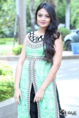 Nikitha Narayan at Mellaga Tattindi Manasu Talupu Movie Press Meet